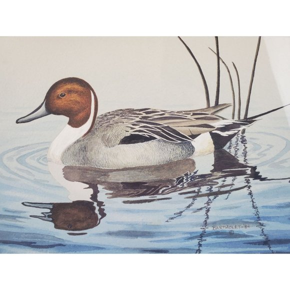 1984 Duck Watercolor: Pintail Drake by Dave Bartholet (Signed) - Picture 2 of 7